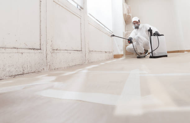 24/7 Emergency Basement Mold Remediation experts in Woodbridge, VA