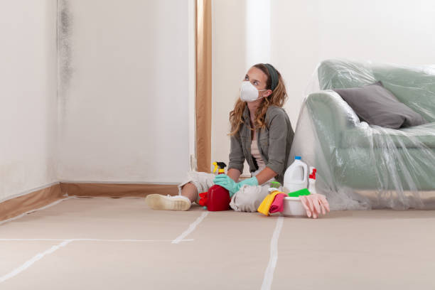 Reliable Basement Mold Remediation contractor in Woodbridge, VA by Car Mold Remediation